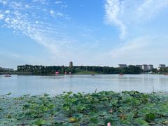 -长春北湖公园