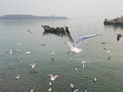 -琴岛之星摩天轮