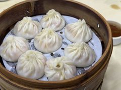 -莱莱小笼·乔艾