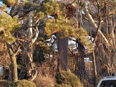 -沈阳辉山风景区