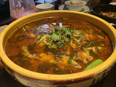 -陈麻婆豆腐总店