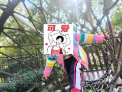 -玛利娅蒙特梭利双语幼儿园·托育(百家湖直营园)