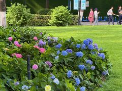 -常州古运河南大街文化旅游区-人民公园