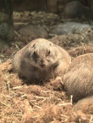 -Zoolung Zoolung动物主题公园(海信广场店)