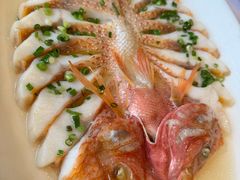 彩虹雕-骏莱海鲜鱼港(五角场店)