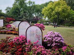 -上海醉白池公园