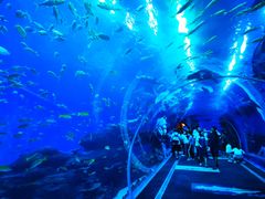 -成都浩海立方海洋公园