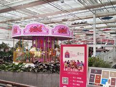 -解家河南菜(金水路店)