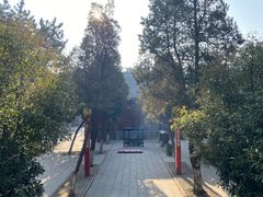 -湛山寺