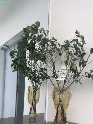 -INLIFE HAIR韩国美发