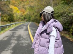 -天女山森林公园