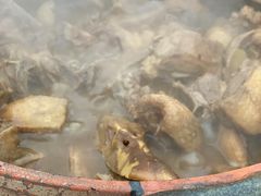 -盐禾堂海南屯昌香草鸭(总店)