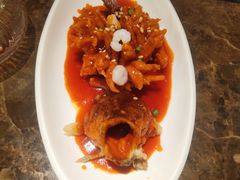 松子桂鱼-红城阁·上海味道(四平路店)