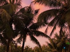 -欢乐海岸椰林沙滩-2025湾区超级灯会