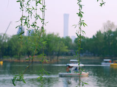 -朝阳公园