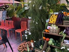 -蘑界·野生菌火锅(深业上城店)