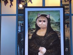 -喵屿·大理花园猫咖