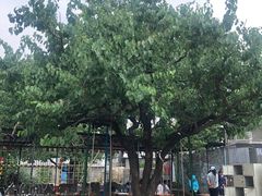 -南山特攻真人CS户外露营轰趴拓展基地