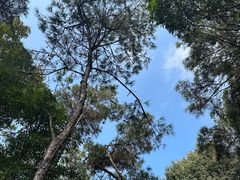 -福建泉州仙公山风景名胜区