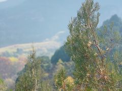 -龙洞风景区-藏龙涧