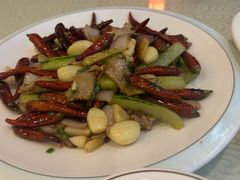 -圣厨牛腩(青春岛社区玉寿苑店)
