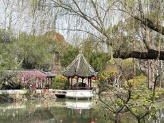 -上海醉白池公园