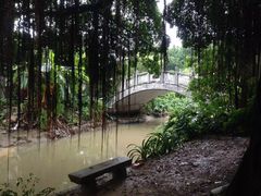 -小洲村