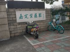 -嘉定紫藤园