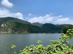 -黔灵山公园