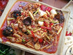 -青城甲(青城山店)