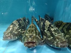 -迎喜海鲜酒楼(鹏森·海纳中心店)