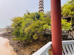 -江心屿景区