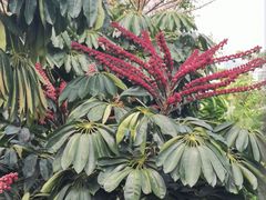 -布吉佳兆业广场