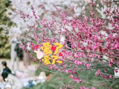 -杭州植物园