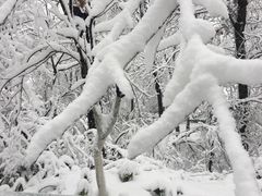 -紫金山天文台