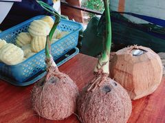 -亚龙湾海底世界