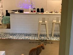 -Tempo Coffee(市二宮店)