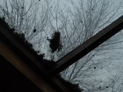 -VOYAGE COFFEE(北锣鼓巷店)