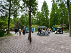 -黄海国家森林公园