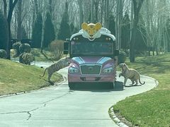 -北京野生动物园