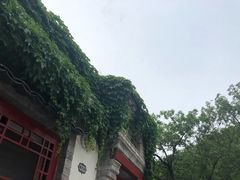 -老张烤羊(王哥庄店)