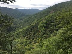-五女峰国家森林公园