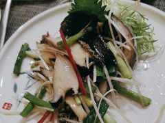 -中苑海韵
