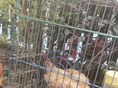 -许鲜生健康生活馆·精细潮菜(奥绅体育公园店)