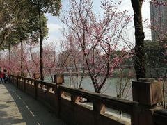 -望江楼公园