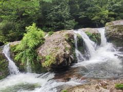 -龙苍沟森林公园