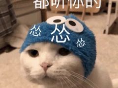 -失落之城沉浸式剧情密室(江宁万达店)