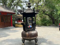 -高尔山公园