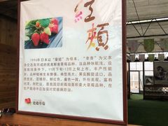 -建德果蔬乐园绪塘草莓基地