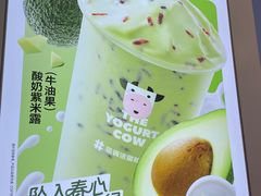 -一只酸奶牛(春熙路店)